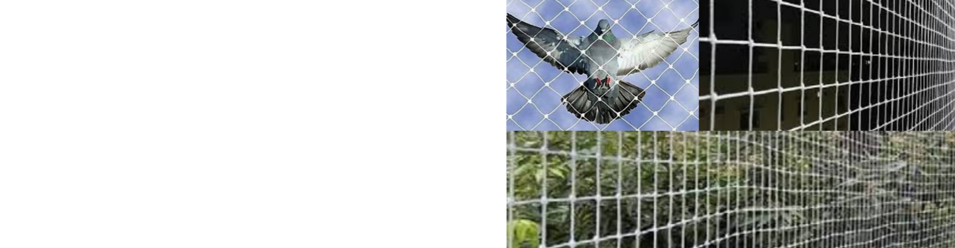 Anti Bird Pigeon Netting Solutions and Services
