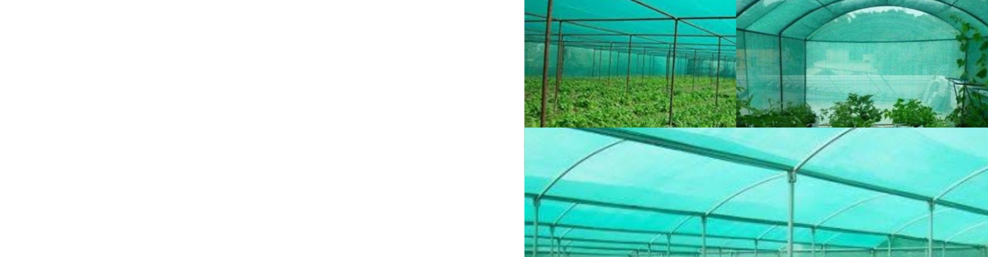 Horticulture Products Services Solutions